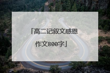 高二记叙文感恩作文800字