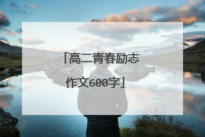 高二青春励志作文600字