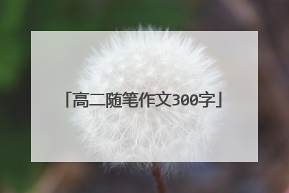 高二随笔作文300字