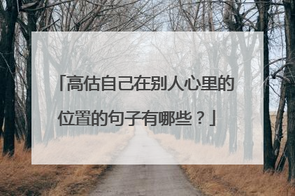 高估自己在别人心里的位置的句子有哪些？
