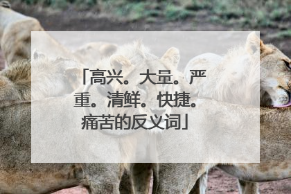 高兴。大量。严重。清鲜。快捷。痛苦的反义词