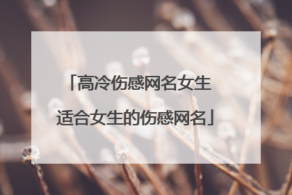 高冷伤感网名女生 适合女生的伤感网名