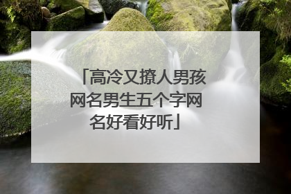 高冷又撩人男孩网名男生五个字网名好看好听