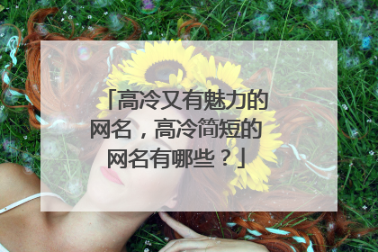 高冷又有魅力的网名,高冷简短的网名有哪些?