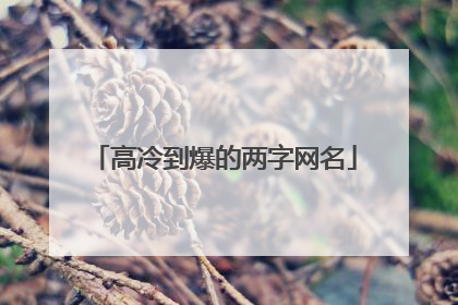 高冷到爆的两字网名