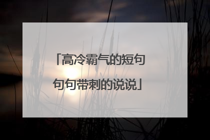 高冷霸气的短句 句句带刺的说说