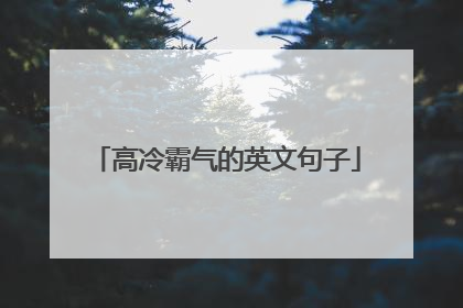 高冷霸气的英文句子