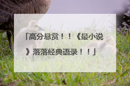 高分悬赏！！《最小说》落落经典语录！！