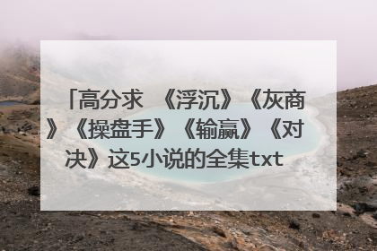 高分求 《浮沉》《灰商》《操盘手》《输赢》《对决》这5小说的全集txt版,邮箱qingerisk@gmail.com