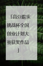 高分跪求挑战杯全国创业计划大赛获奖作品