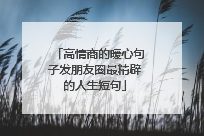 高情商的暖心句子发朋友圈最精辟的人生短句