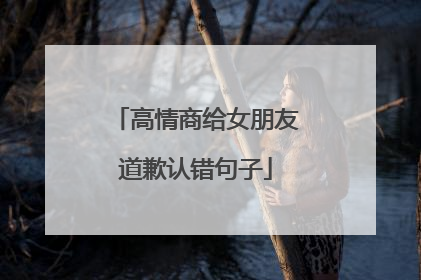 高情商给女朋友道歉认错句子