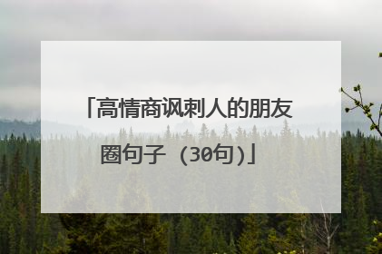 高情商讽刺人的朋友圈句子 (30句)