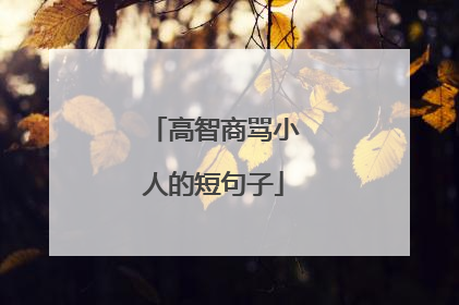 高智商骂小人的短句子