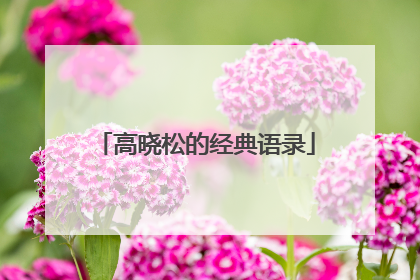 高晓松的经典语录