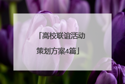 高校联谊活动策划方案4篇