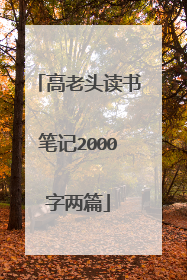 高老头读书笔记2000字两篇
