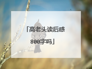 高老头读后感800字吗