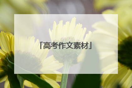 高考作文素材