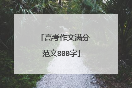 高考作文满分范文800字