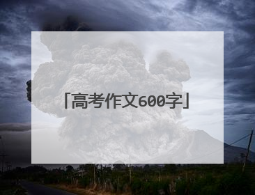 高考作文600字
