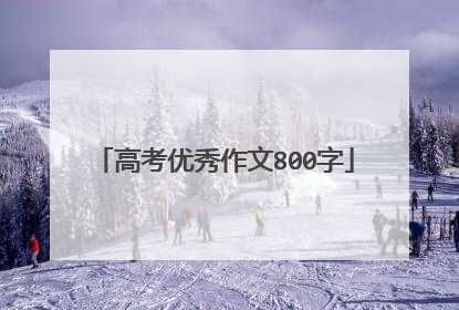 高考优秀作文800字