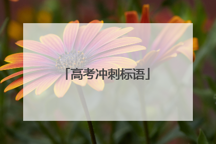 高考冲刺标语