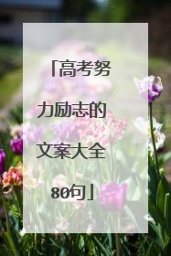 高考努力励志的文案大全80句