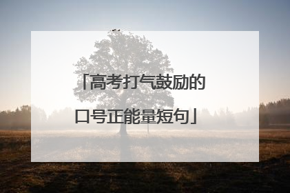 高考打气鼓励的口号正能量短句