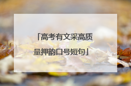 高考有文采高质量押韵口号短句