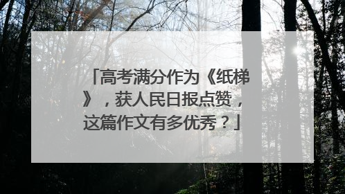 高考满分作为《纸梯》,获人民日报点赞,这篇作文有多优秀?