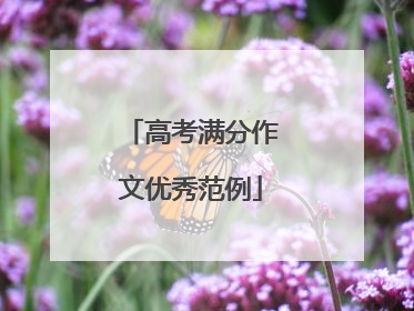 高考满分作文优秀范例