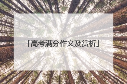 高考满分作文及赏析
