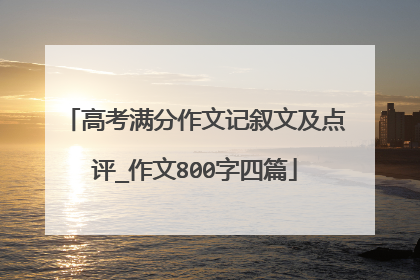 高考满分作文记叙文及点评_作文800字四篇