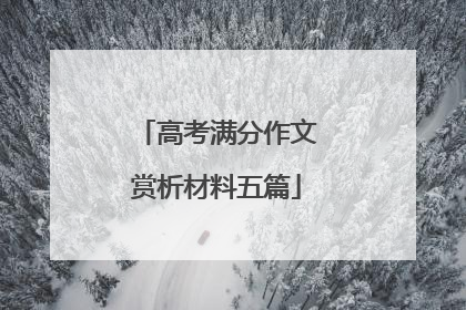 高考满分作文赏析材料五篇