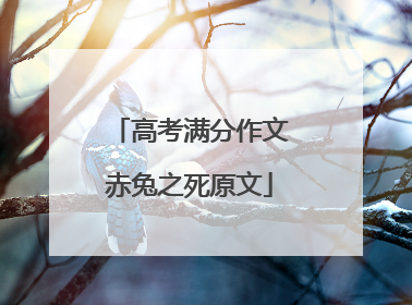 高考满分作文赤兔之死原文