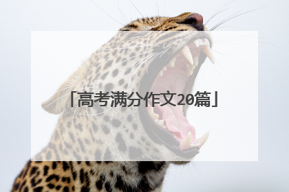 高考满分作文20篇