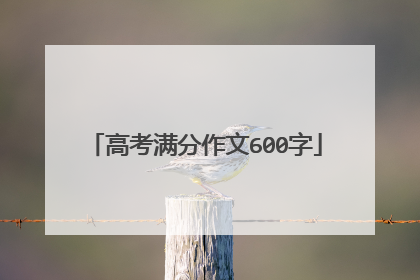 高考满分作文600字