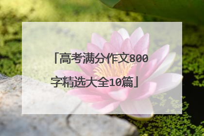 高考满分作文800字精选大全10篇