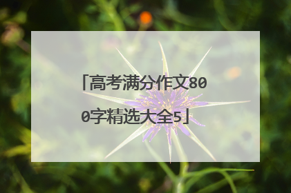 高考满分作文800字精选大全5