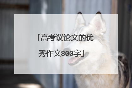 高考议论文的优秀作文800字