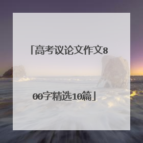高考议论文作文800字精选10篇