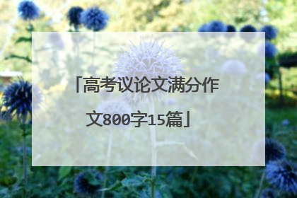 高考议论文满分作文800字15篇