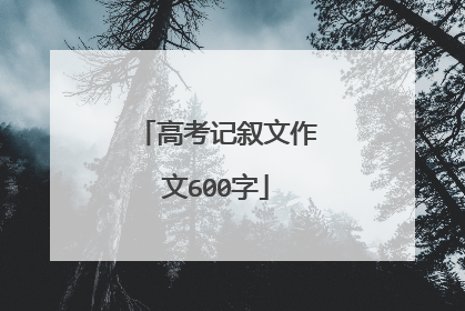 高考记叙文作文600字