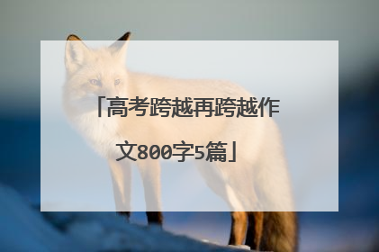 高考跨越再跨越作文800字5篇