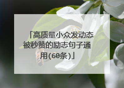 高质量小众发动态被秒赞的励志句子通用(60条)