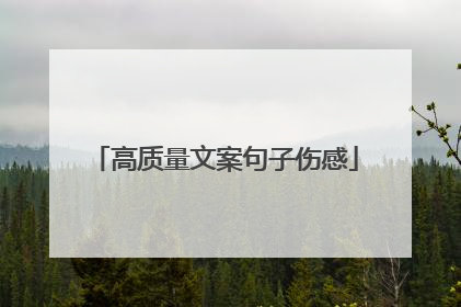 高质量文案句子伤感