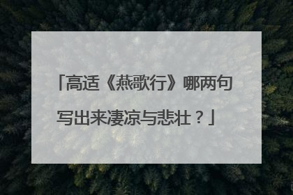 高适《燕歌行》哪两句写出来凄凉与悲壮？