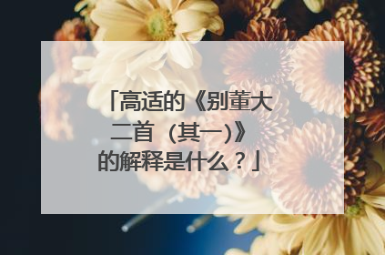 高适的《别董大二首 (其一)》的解释是什么？
