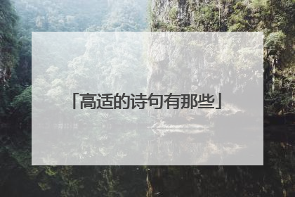 高适的诗句有那些